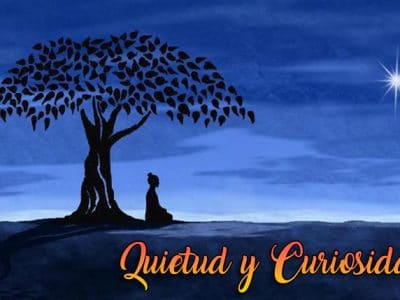 quietud y curiosidad - videntes