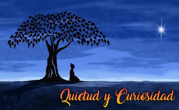 quietud y curiosidad - videntes